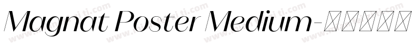 Magnat Poster Medium字体转换